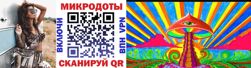 где можно купить   Апрелевка  Галлюциногенные грибы Cubensis 